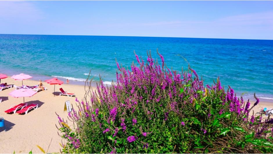 Sea holiday Byala